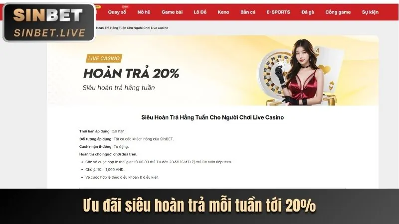 Hoàn trả cược xổ số hàng ngày/tuần